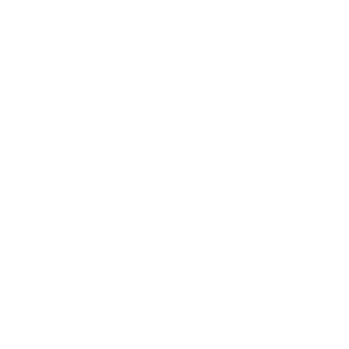 القوائم المالية للجمعية