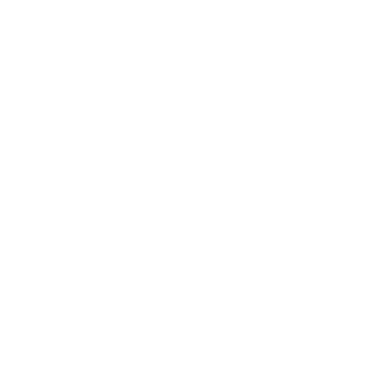 أعضاء مجلس الإدارة